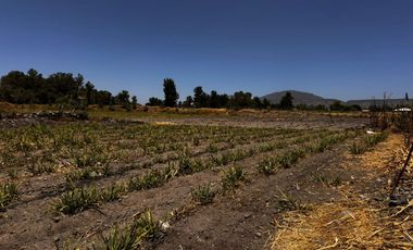 Terreno Ejidal en Venta $850.00 metro cuadrado, en San Isidro Mazatepec, Tala, CP. 45344, Jalisco, México.