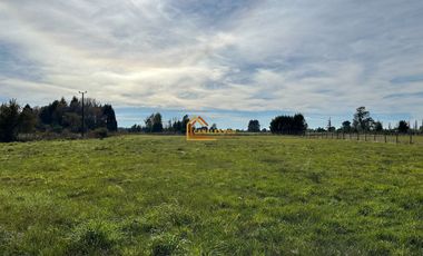 Parcela Sector Faja Maisan, Pitrufquén.   REBAJADA