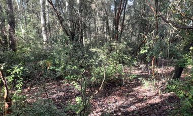 Hermosas parcelas con luz y agua, sector Chesque Villarrica