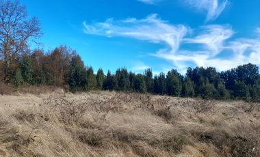 Hermosas parcelas con luz y agua, sector Chesque Villarrica