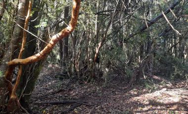Hermosas parcelas con luz y agua, sector Chesque Villarrica