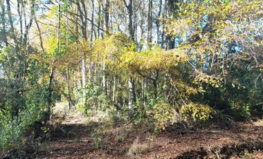 Hermosas parcelas con luz y agua, sector Chesque Villarrica