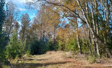 Hermosas parcelas con luz y agua, sector Chesque Villarrica
