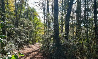 Hermosas parcelas con luz y agua, sector Chesque Villarrica