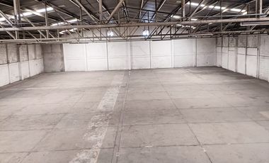 BODEGA EN RENTA EN LAS ANIMAS, SOLIDARIDAD, IRAPUATO