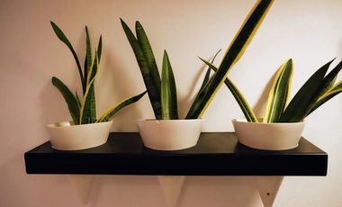 Villa En Venta 3 Recamaras En Acapulco Princess Con Entorno Natural Y Alberca Privada