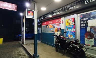 Vende Minimarket y Licoreria, patente de alcoholes + departamento 2D y 1 B Linares