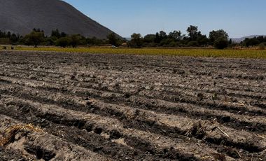 Terreno Ejidal en Venta $850.00 metro cuadrado, en San Isidro Mazatepec, Tala, CP. 45344, Jalisco, México.