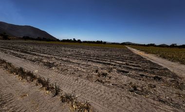 Terreno Ejidal en Venta $850.00 metro cuadrado, en San Isidro Mazatepec, Tala, CP. 45344, Jalisco, México.