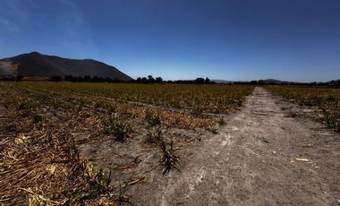Terreno Ejidal en Venta $850.00 metro cuadrado, en San Isidro Mazatepec, Tala, CP. 45344, Jalisco, México.