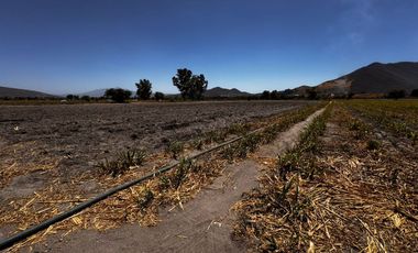 Terreno Ejidal en Venta $850.00 metro cuadrado, en San Isidro Mazatepec, Tala, CP. 45344, Jalisco, México.