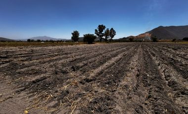 Terreno Ejidal en Venta $850.00 metro cuadrado, en San Isidro Mazatepec, Tala, CP. 45344, Jalisco, México.