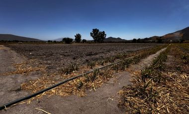 Terreno Ejidal en Venta $850.00 metro cuadrado, en San Isidro Mazatepec, Tala, CP. 45344, Jalisco, México.
