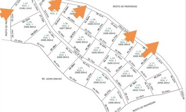 TERRENOS EN VENTA EN MAZAMITLA DE 1600 M2 ESCRITURADOS