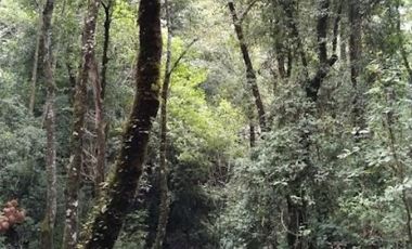 TERRENOS EN VENTA EN MAZAMITLA DE 1600 M2 ESCRITURADOS