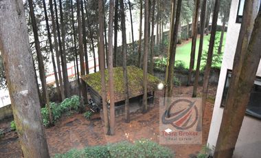 HERMOSA PROPIEDAD EN VENTA EN MEDIO DEL BOSQUE, 4,310 M2 DE TERRENO, 2,215 M2 DE CONSTRUCCION