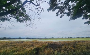Terreno Residencial en venta, Urb. El Cortijo.