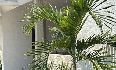 Departamento en Venta en Manzanillo, Palmas del Sol