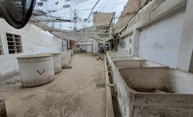 VENDO TERRENO COMERCIAL  EN LURIN – 4 FRENTES -  PANAMERICANA SUR KM 34.9 - AAHH NUEVO LURIN KM 40