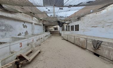 VENDO TERRENO COMERCIAL  EN LURIN – 4 FRENTES -  PANAMERICANA SUR KM 34.9 - AAHH NUEVO LURIN KM 40