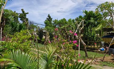 DIJUAL TANAH STRATEGIS DI DENPASAR COCOK UNTUK INVESTASI