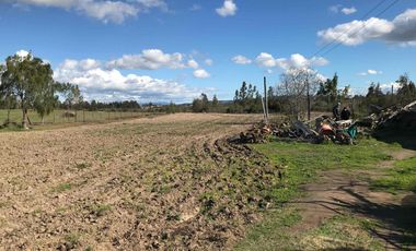 TERRENO 39.600 m²+ CASA 119 m² 3D1B - LAS CABRAS (cód 172)