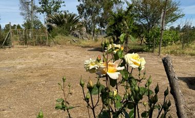 TERRENO 39.600 m²+ CASA 119 m² 3D1B - LAS CABRAS (cód 172)