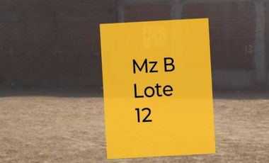 Terrenos en Puente Piedra – Calle Las Tunas, ¡varias opciones disponibles!