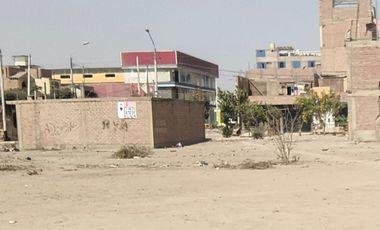 Terrenos Urbano En Puente Piedra - Los Ciruelos - Opción De Compra Conjunta