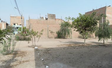 Terrenos Urbanos Planos En Puente Piedra Calle Los Duraznos Ideales Para Vivienda O Inversión