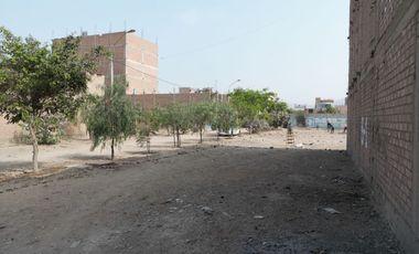 Terrenos Urbanos Planos En Puente Piedra Calle Los Duraznos Ideales Para Vivienda O Inversión