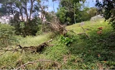 Se vende Terreno, Vereda Sabaneta, Copacabana Antioquia.