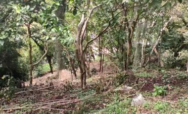 Se vende Terreno, Vereda Sabaneta, Copacabana Antioquia.