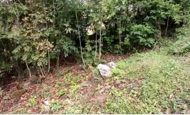 Se vende Terreno, Vereda Sabaneta, Copacabana Antioquia.