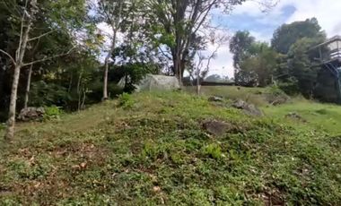 Se vende Terreno, Vereda Sabaneta, Copacabana Antioquia.