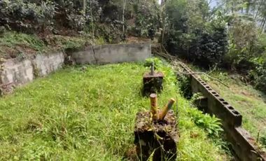 Se vende Terreno, Vereda Sabaneta, Copacabana Antioquia.