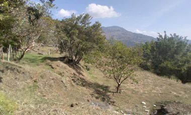 Venta lote, Vereda Zarzal La Luz, Copacabana, Antioquia.