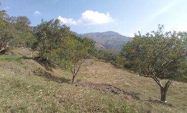 Venta lote, Vereda Zarzal La Luz, Copacabana, Antioquia.