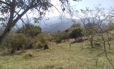 Venta lote, Vereda Zarzal La Luz, Copacabana, Antioquia.