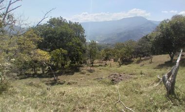 Venta lote, Vereda Zarzal La Luz, Copacabana, Antioquia.