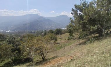 Venta lote, Vereda Zarzal La Luz, Copacabana, Antioquia.