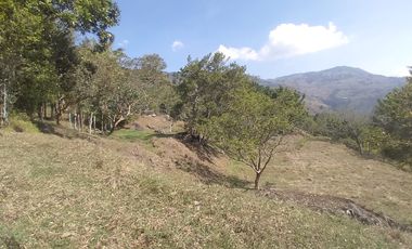 Venta lote, Vereda Zarzal La Luz, Copacabana, Antioquia.