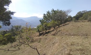 Venta lote, Vereda Zarzal La Luz, Copacabana, Antioquia.