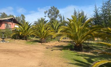 Parcela en arriendo Algarrobo