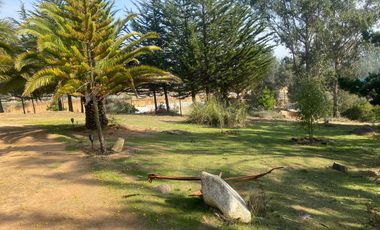 Parcela en arriendo Algarrobo