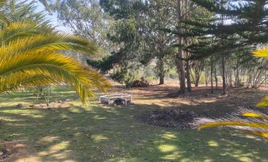 Parcela en arriendo Algarrobo