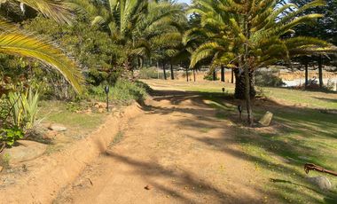 Parcela en arriendo Algarrobo