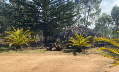 Parcela en arriendo Algarrobo