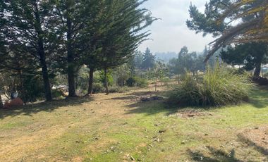 Parcela en arriendo Algarrobo