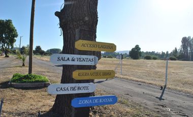 Sitios Con Acceso A Laguna En Quillon
